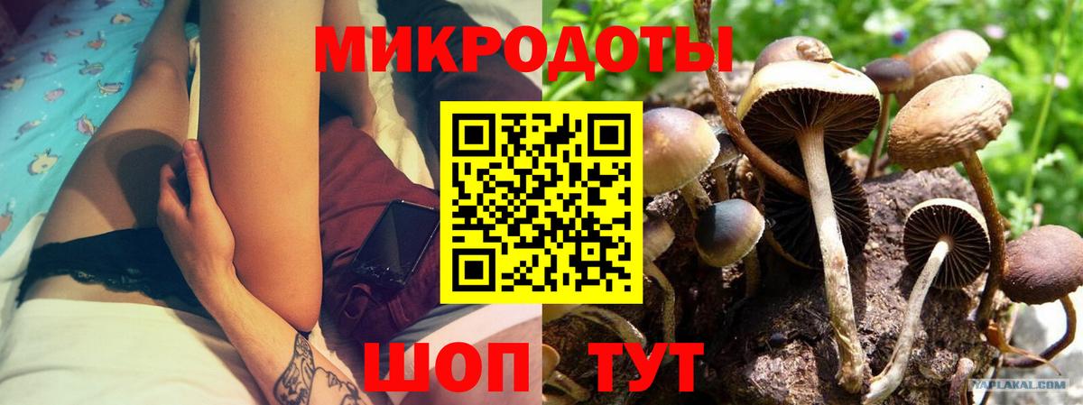 Вольск  Псилоцибиновые грибы GOLDEN TEACHER  Вход с VPN 