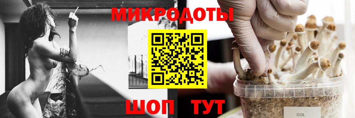 Галлюциногенные грибы мицелий Вольск